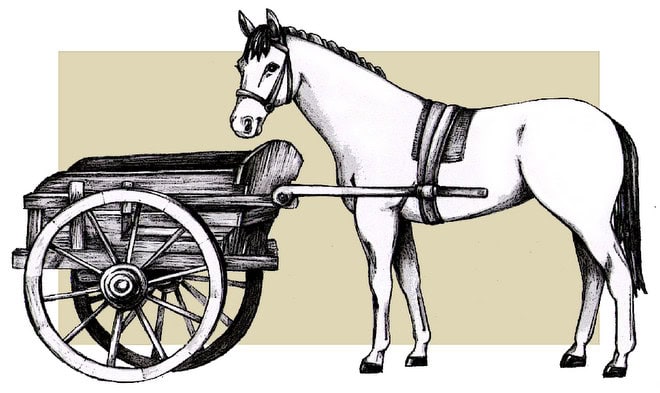 cart-before-the-horse