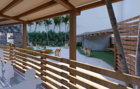 jungle_island_22_kangaroo