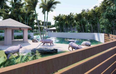 jungle_island_33_capybara